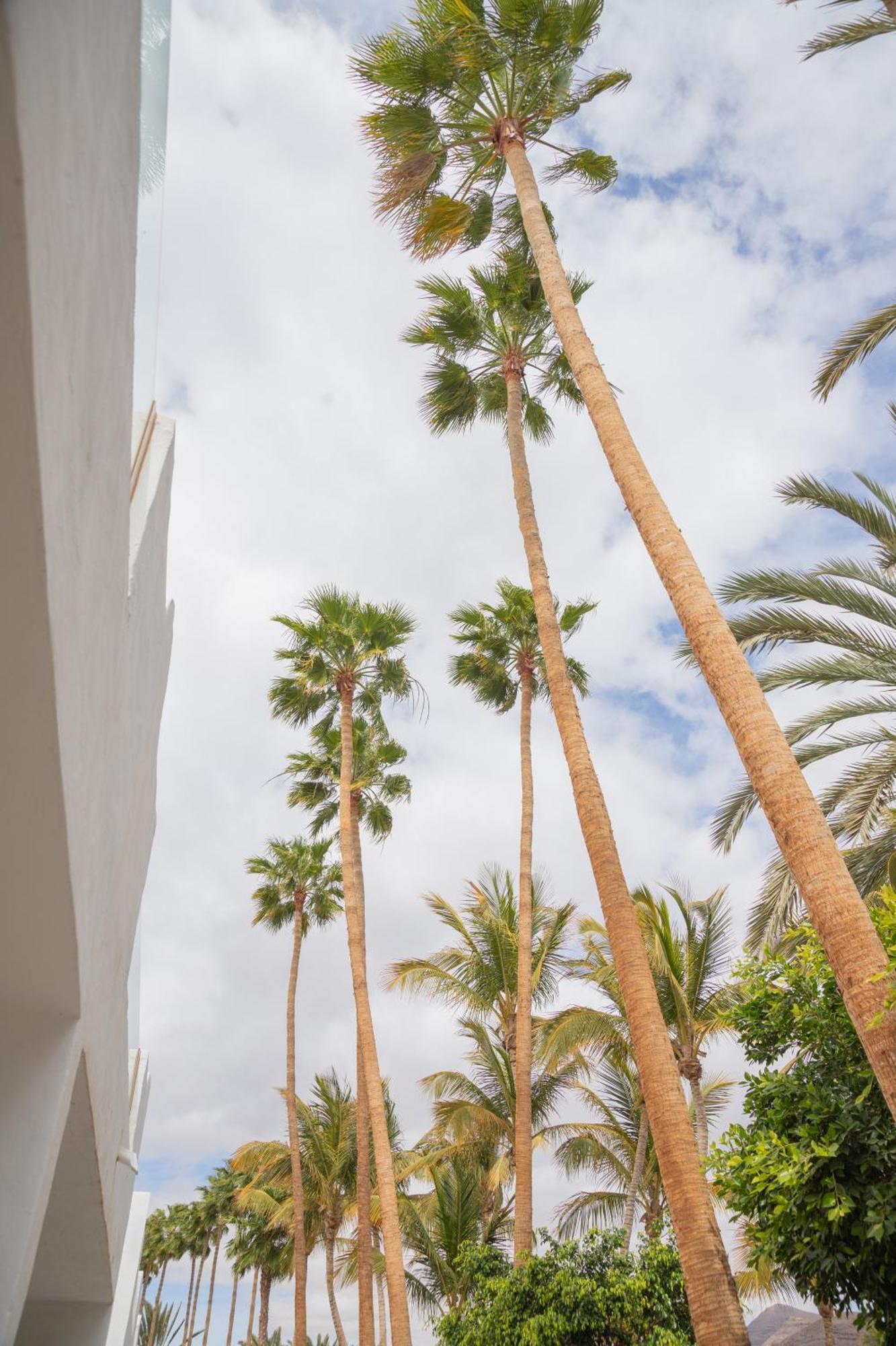 Palm Beach Fuerteventura Тарахалехо Екстериор снимка