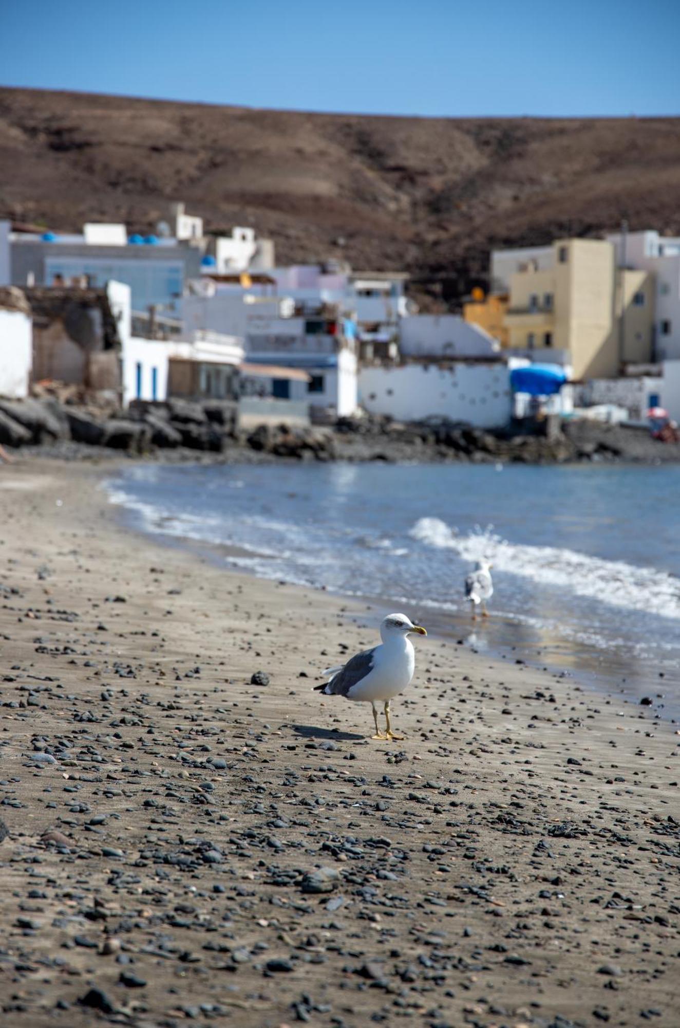 Palm Beach Fuerteventura Тарахалехо Екстериор снимка